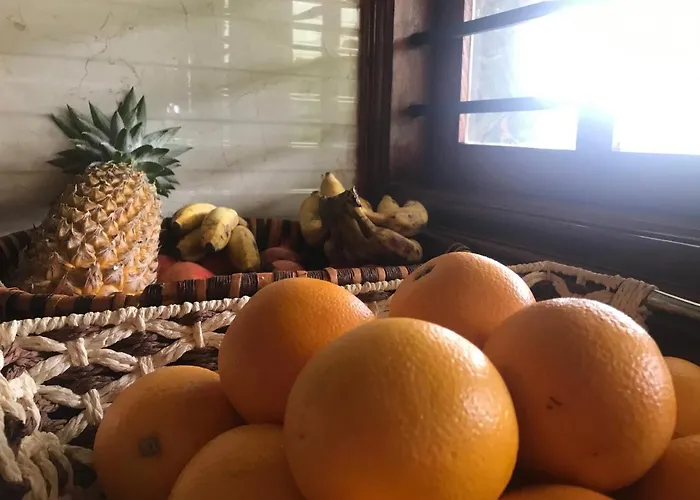 Villa Wodeyarmutt Tropical Luxury Living